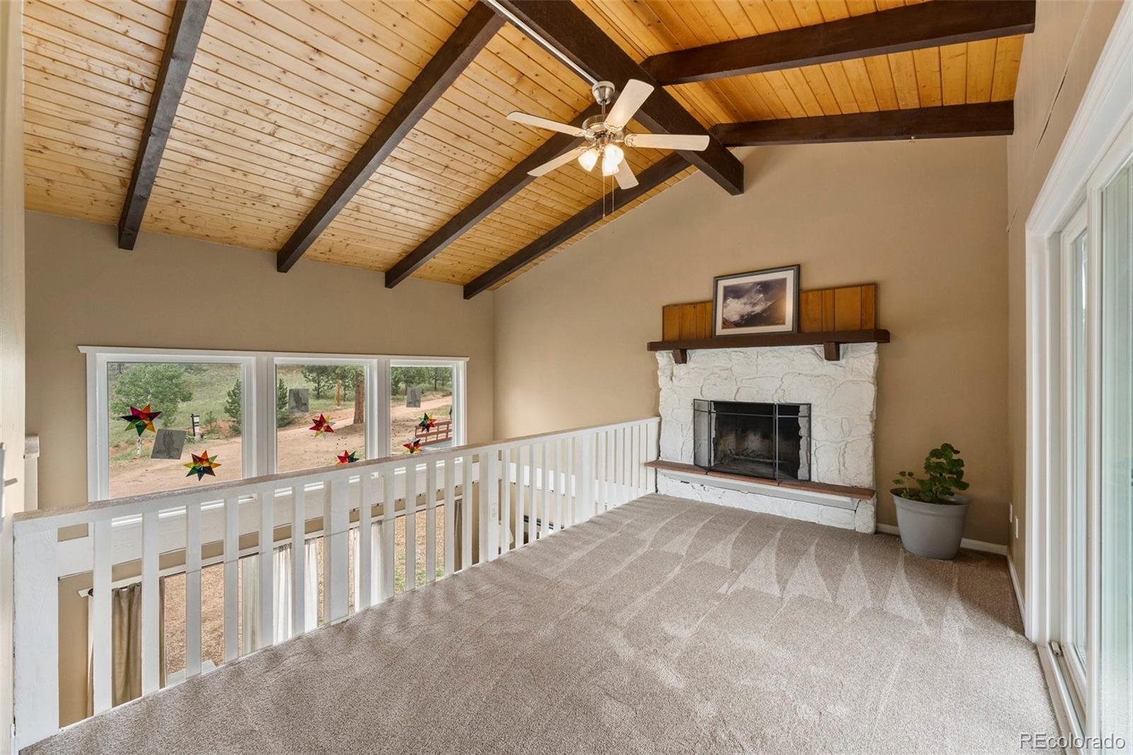 MLS Image #18 for 118  pamona lake drive,divide, Colorado