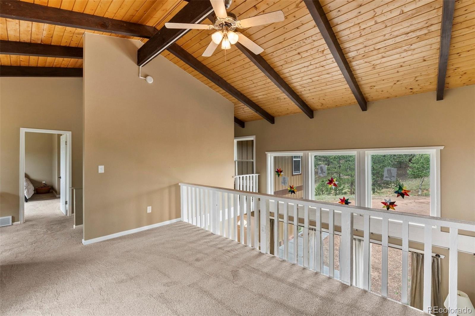 MLS Image #19 for 118  pamona lake drive,divide, Colorado