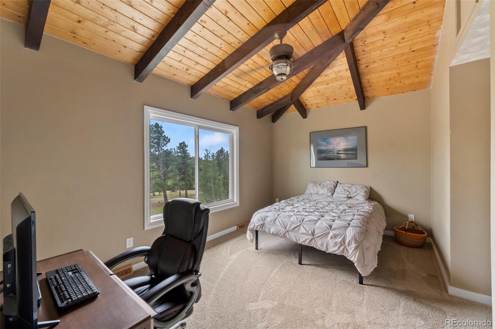MLS Image #26 for 118  pamona lake drive,divide, Colorado