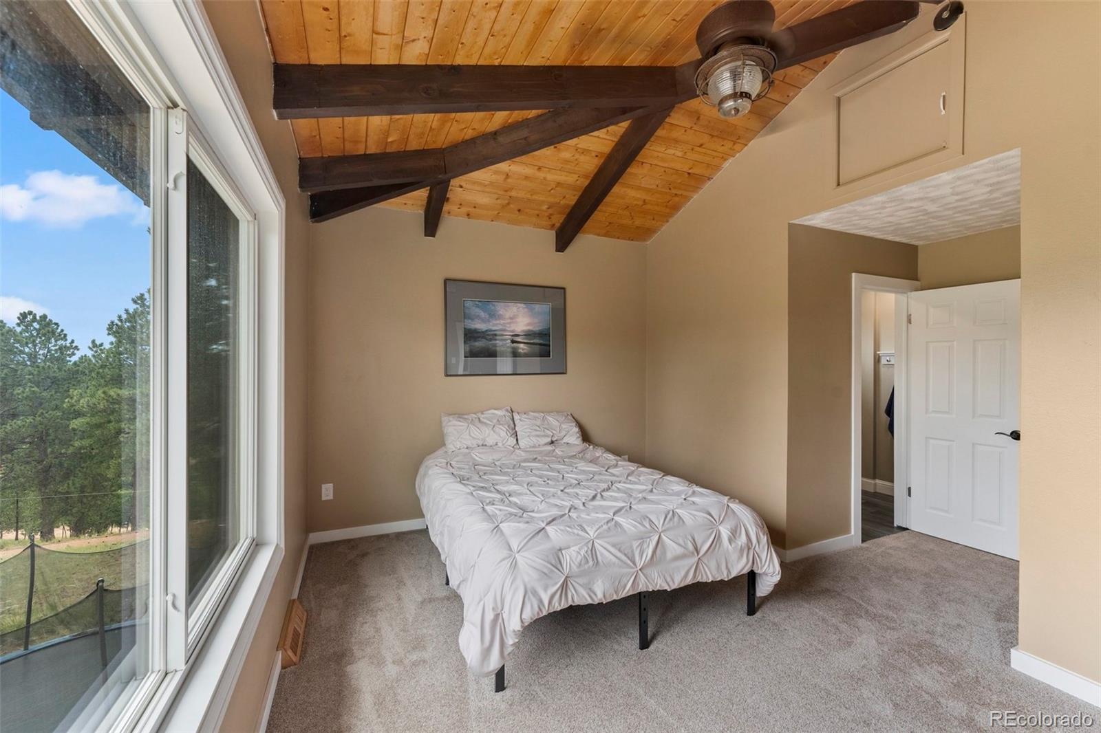 MLS Image #28 for 118  pamona lake drive,divide, Colorado