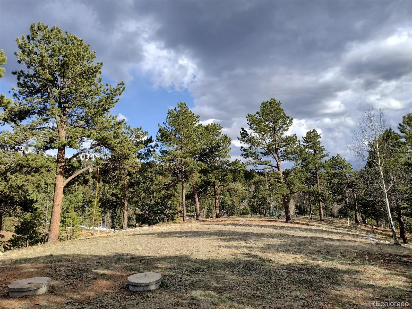 MLS Image #44 for 118  pamona lake drive,divide, Colorado