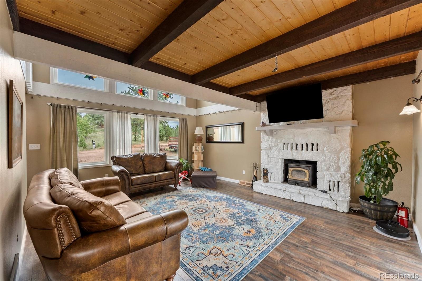MLS Image #5 for 118  pamona lake drive,divide, Colorado