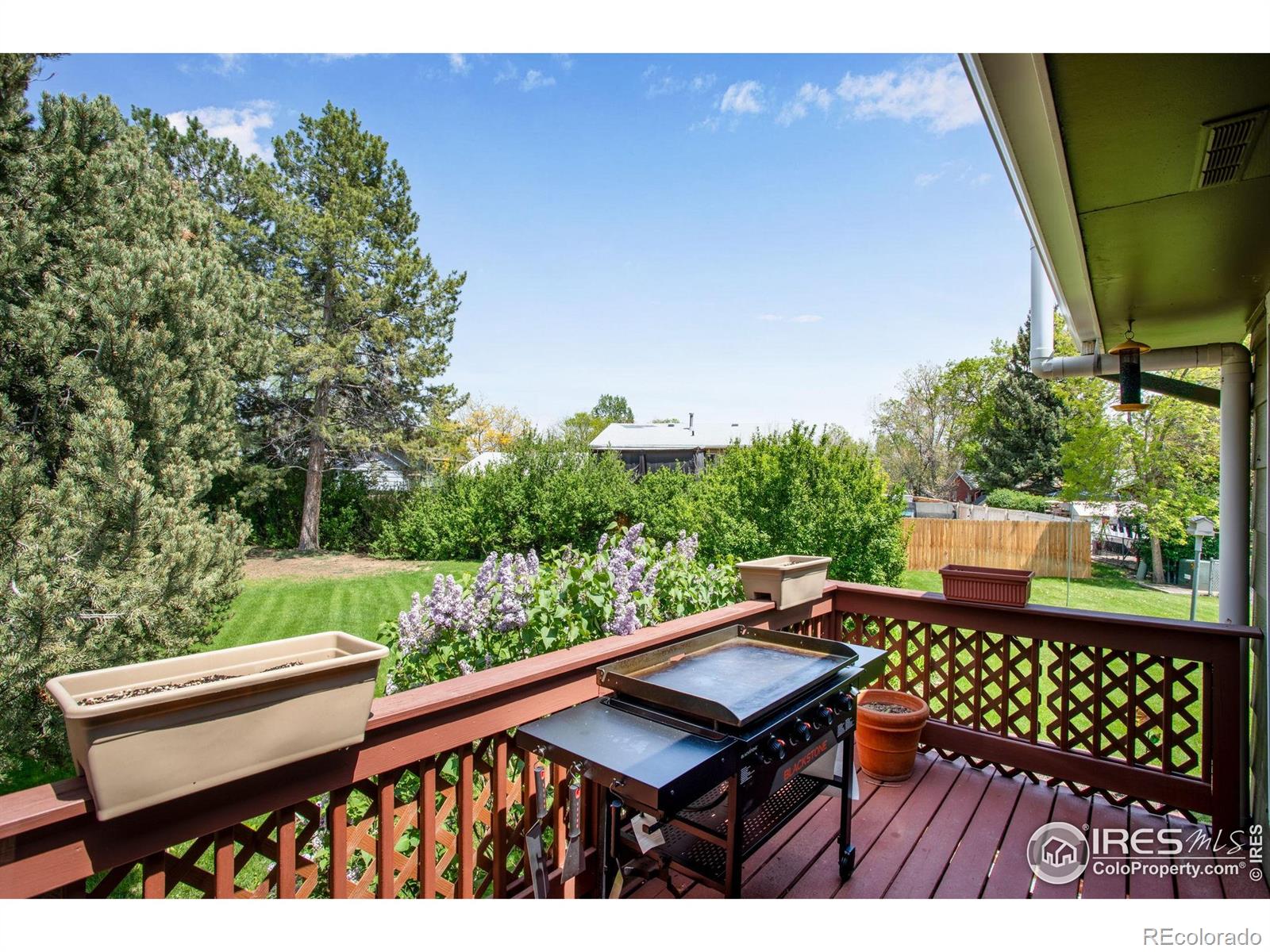 MLS Image #10 for 1726  ellen court,loveland, Colorado