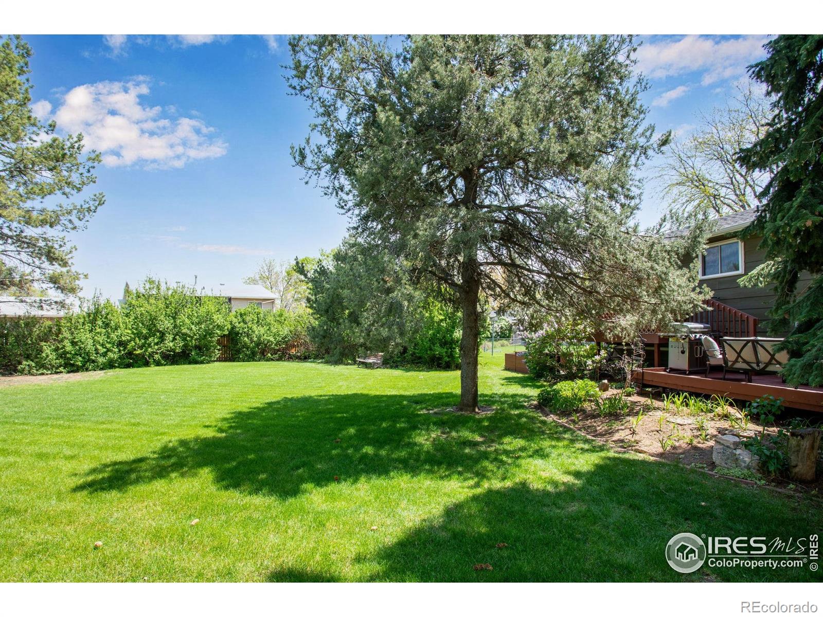 MLS Image #2 for 1726  ellen court,loveland, Colorado