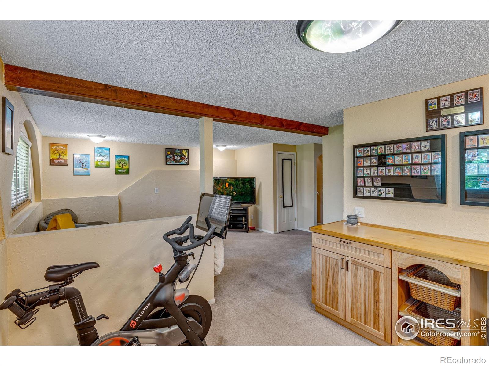 MLS Image #27 for 1726  ellen court,loveland, Colorado