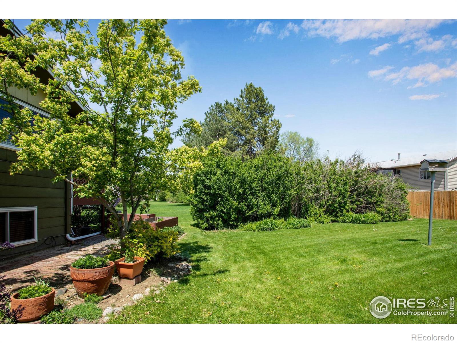 MLS Image #34 for 1726  ellen court,loveland, Colorado