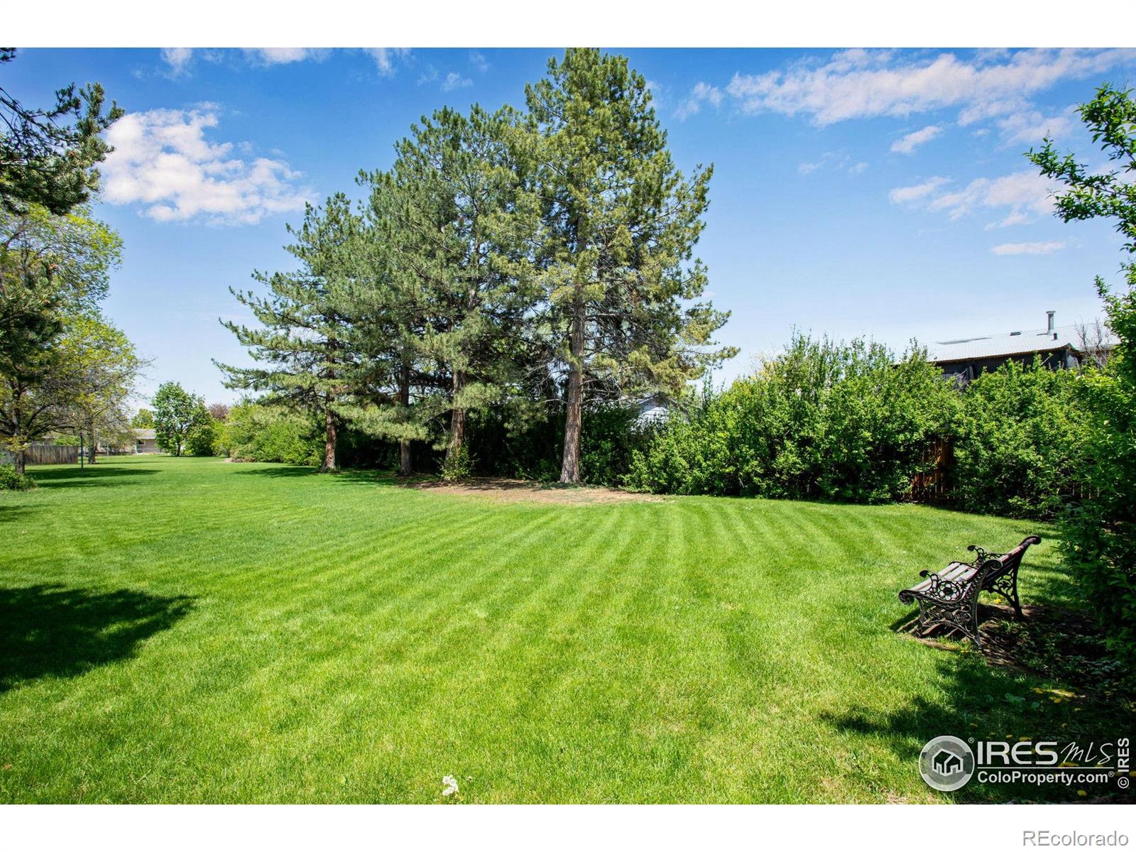 MLS Image #38 for 1726  ellen court,loveland, Colorado