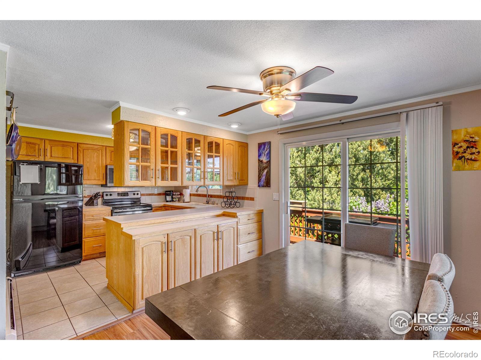 MLS Image #9 for 1726  ellen court,loveland, Colorado