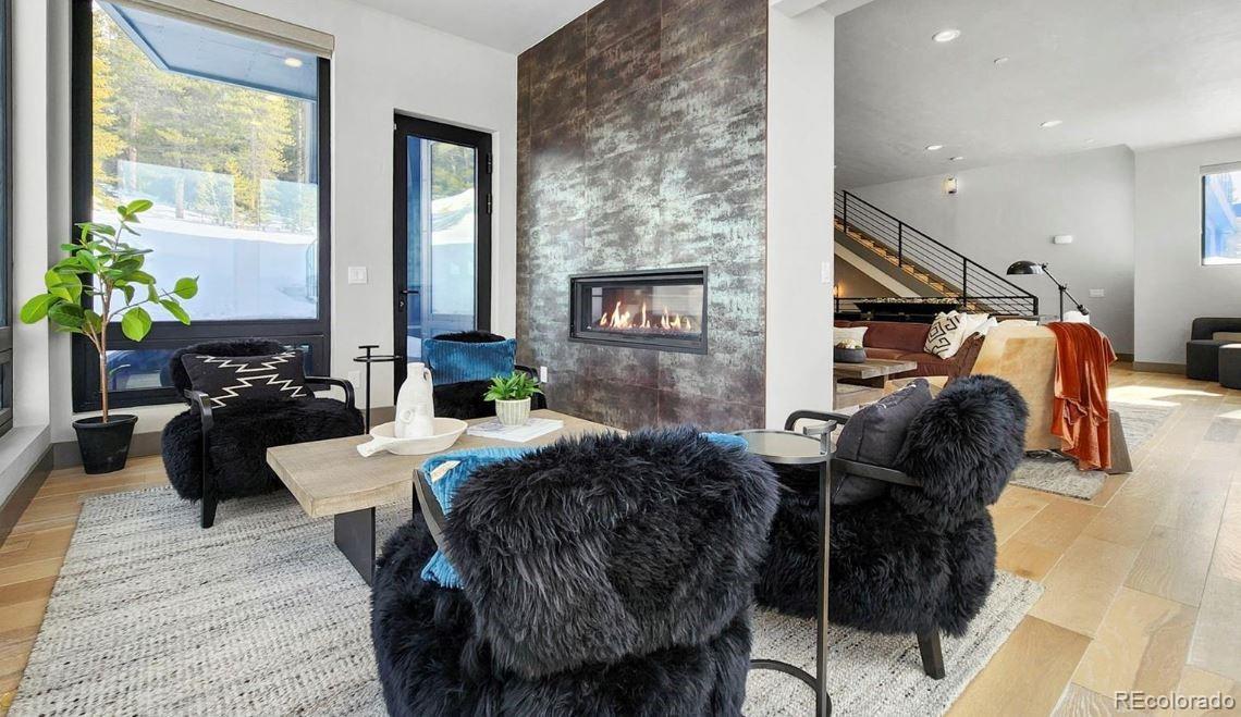 MLS Image #12 for 310 n fuller placer road,breckenridge, Colorado