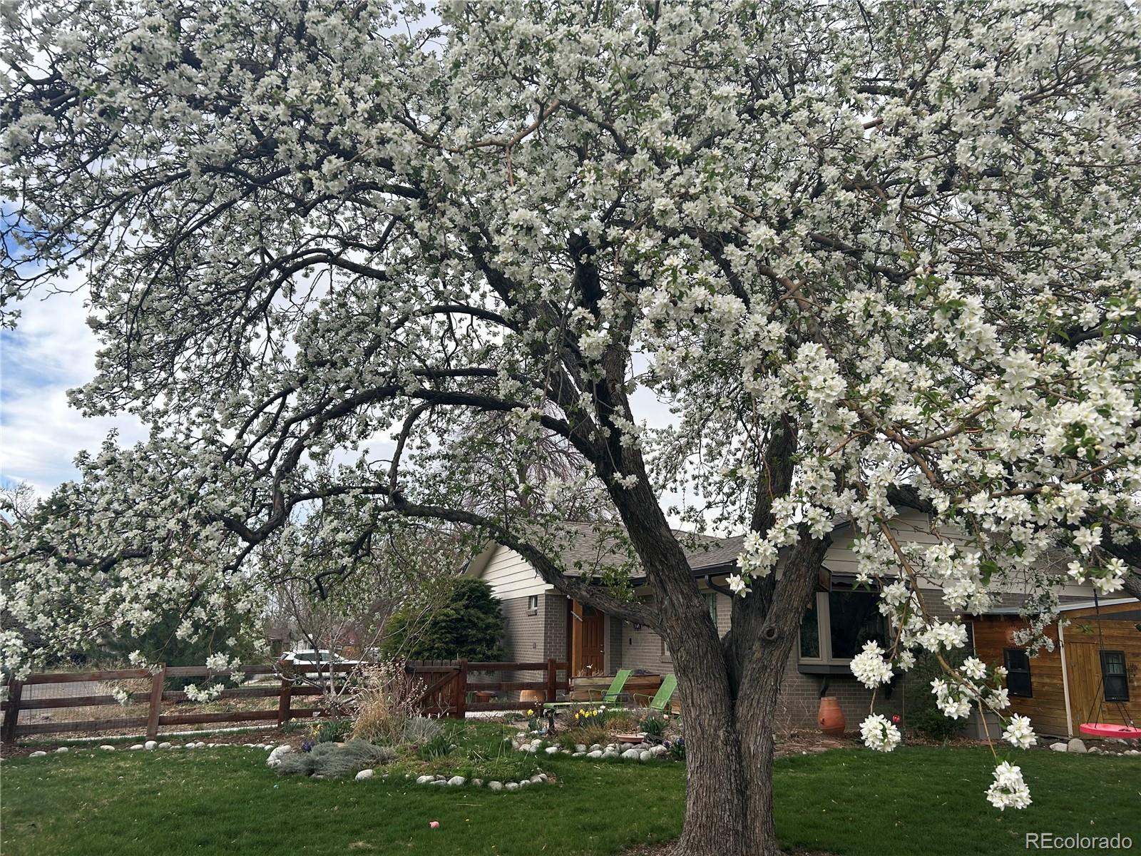 MLS Image #5 for 3010  zinnia court,golden, Colorado