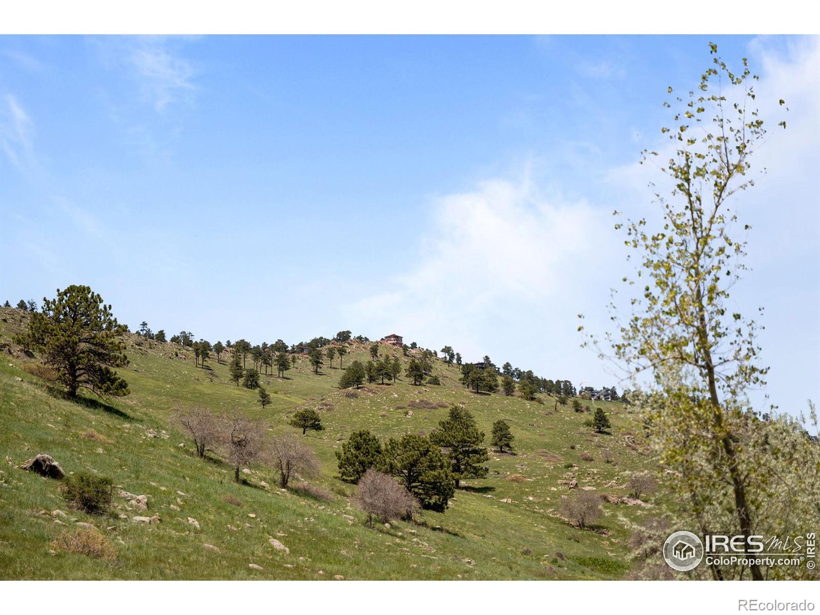 MLS Image #33 for 3945  promontory court,boulder, Colorado
