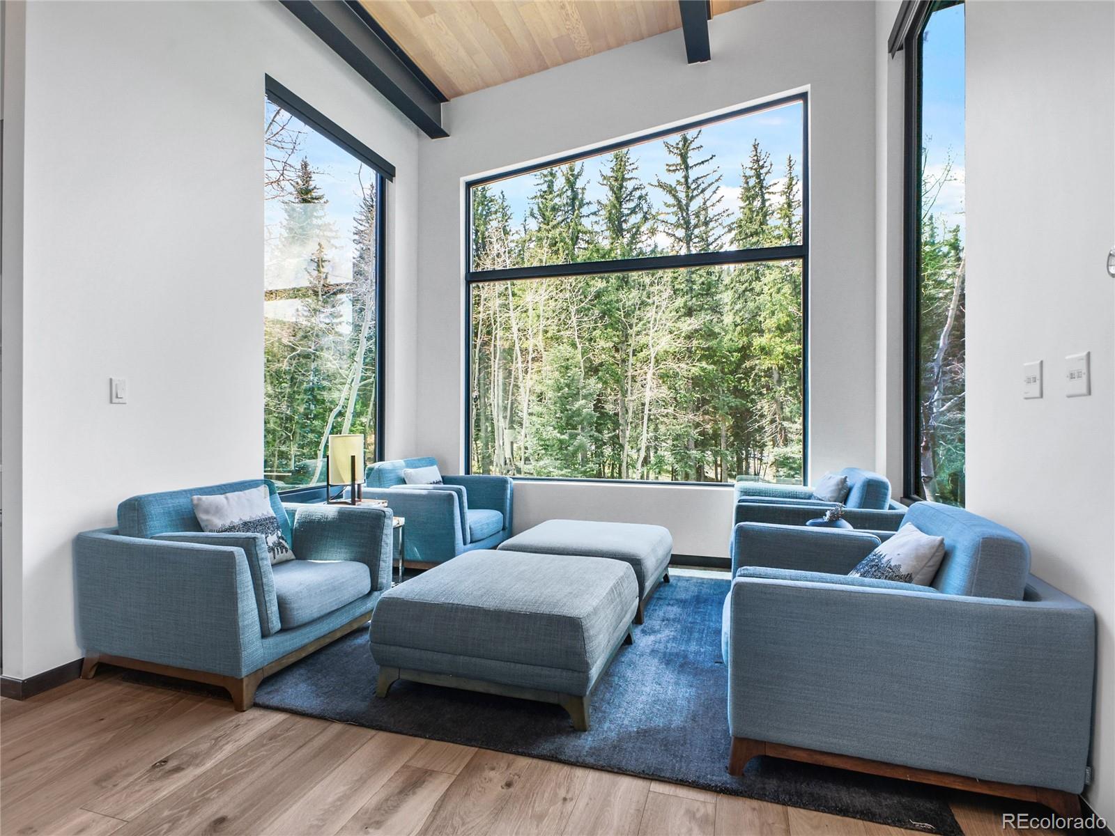 MLS Image #10 for 34089  woodland drive,evergreen, Colorado