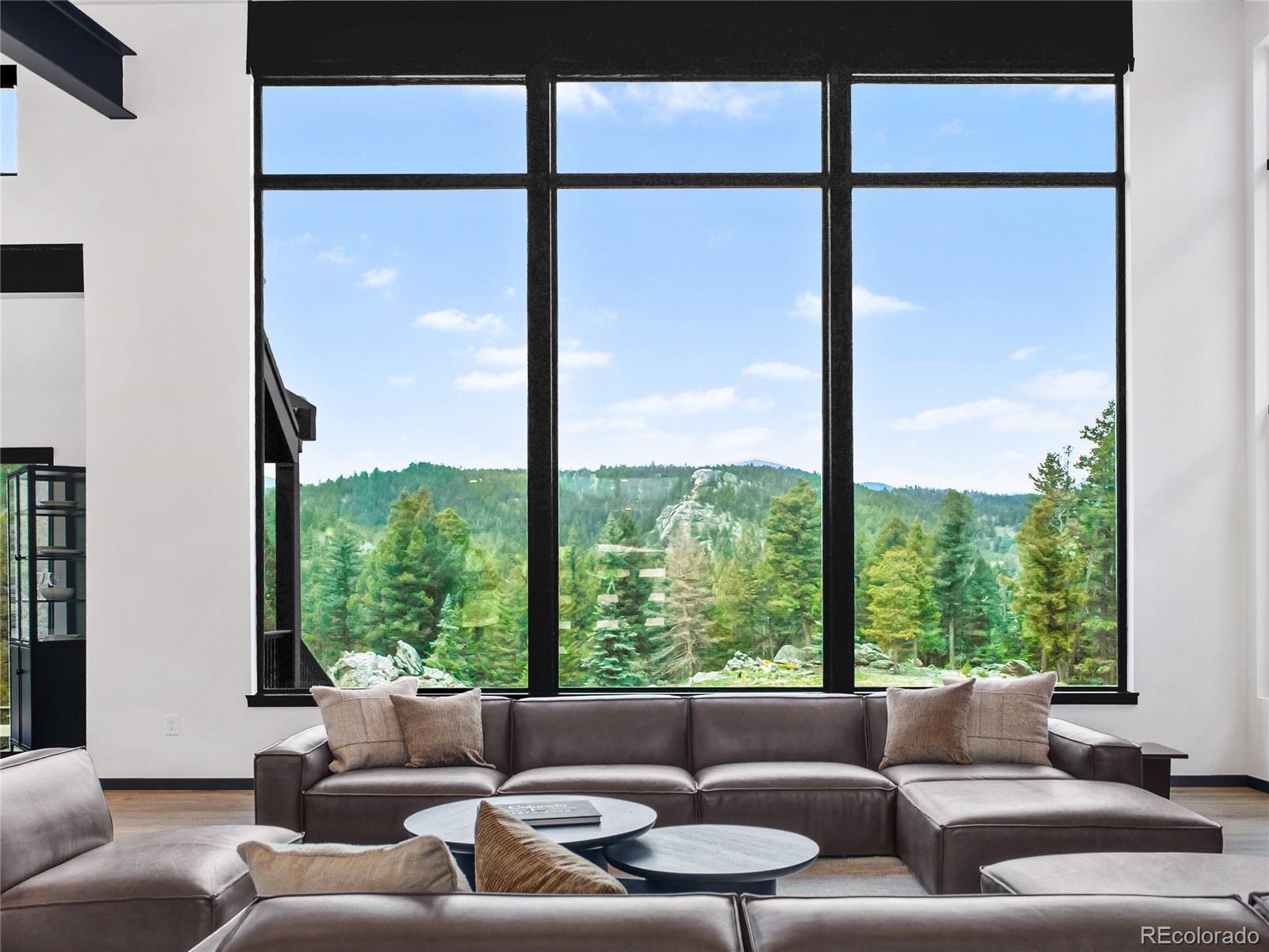 MLS Image #4 for 34089  woodland drive,evergreen, Colorado