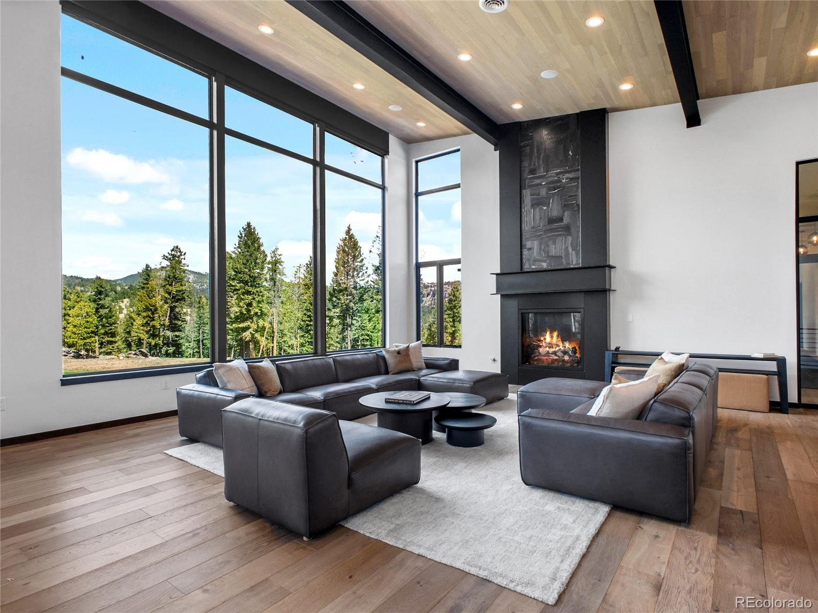 MLS Image #5 for 34089  woodland drive,evergreen, Colorado