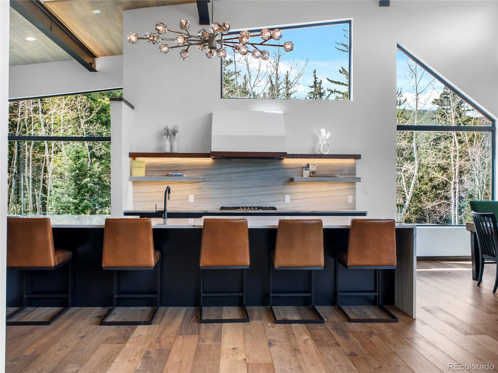 MLS Image #9 for 34089  woodland drive,evergreen, Colorado