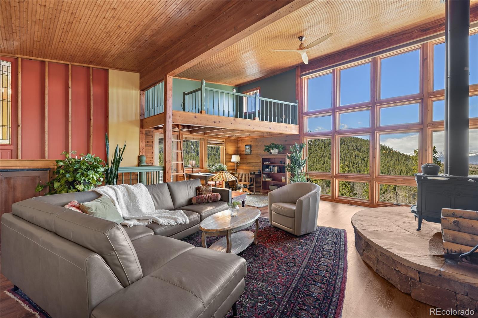 MLS Image #16 for 1450  empire valley drive,leadville, Colorado
