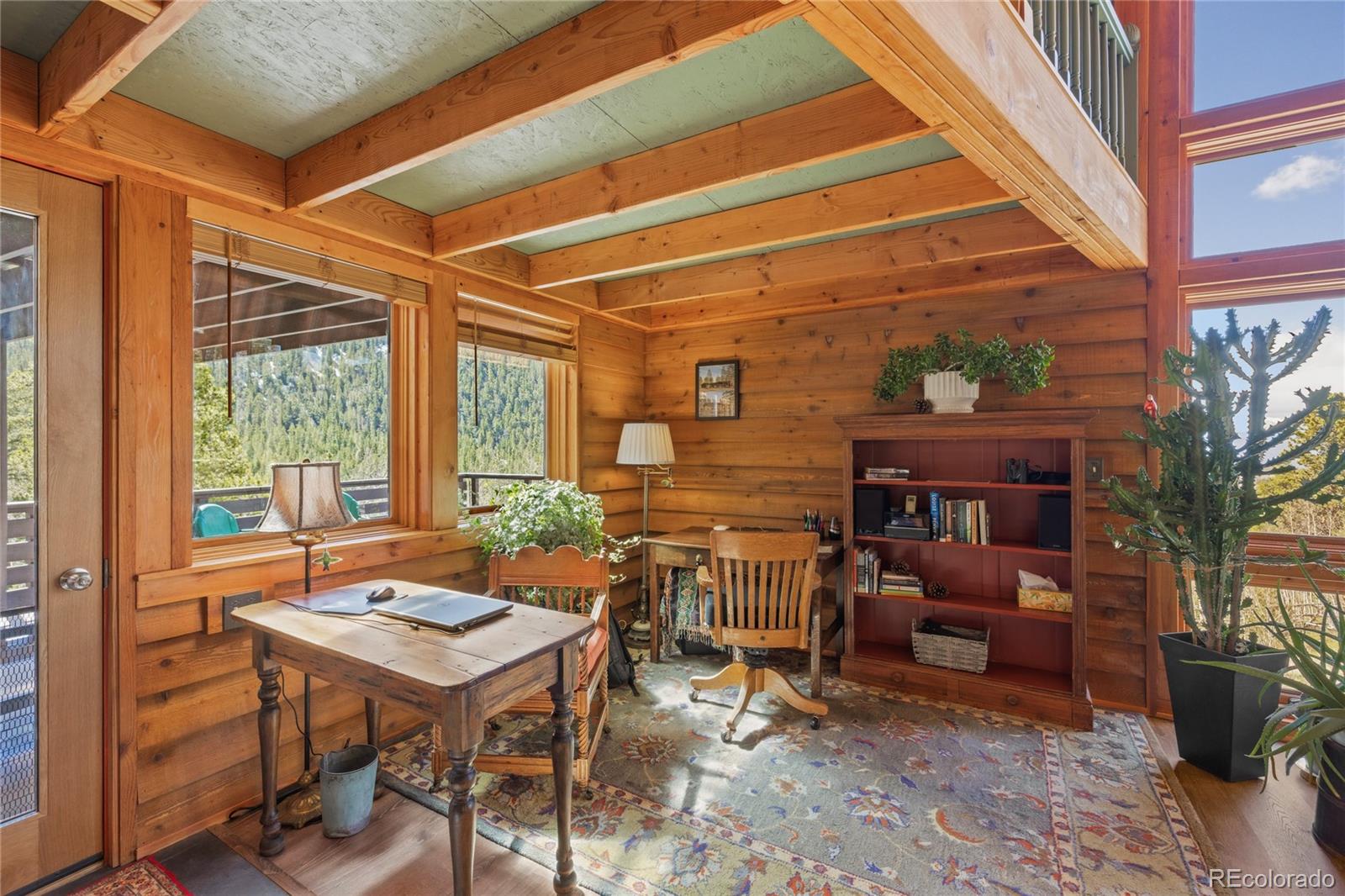 MLS Image #20 for 1450  empire valley drive,leadville, Colorado