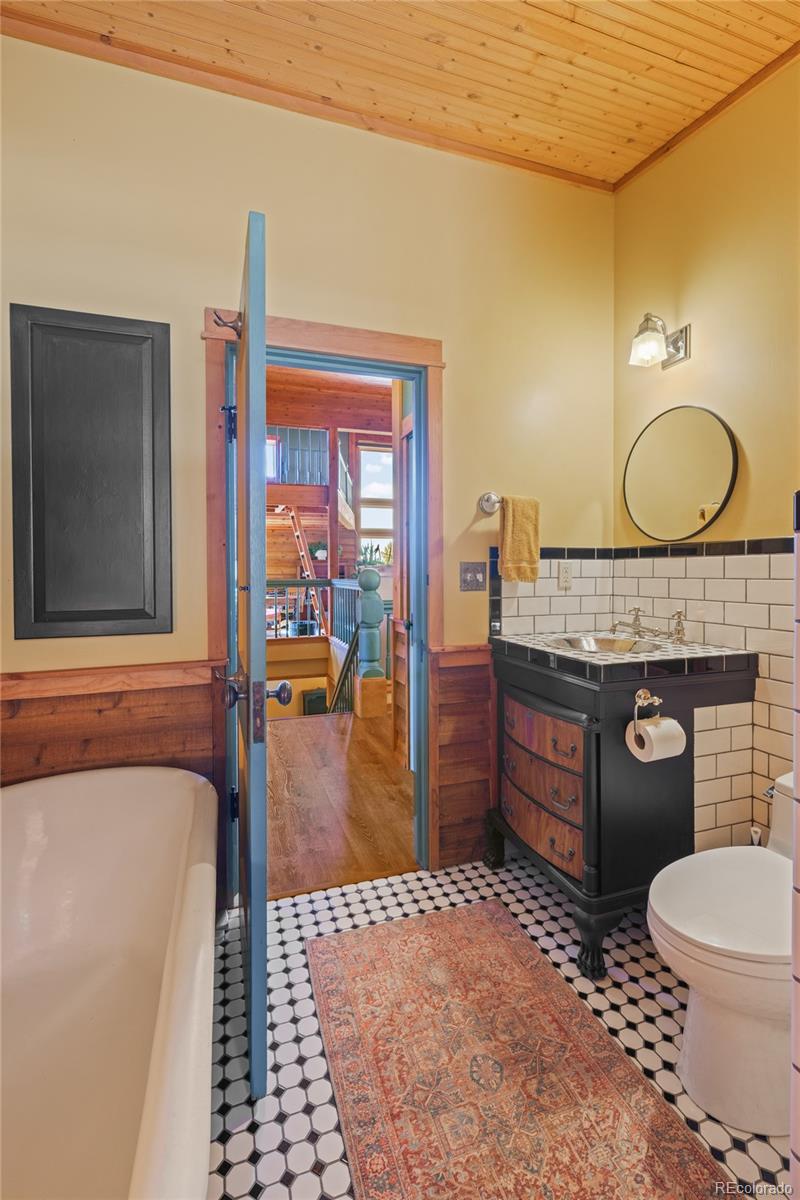 MLS Image #24 for 1450  empire valley drive,leadville, Colorado