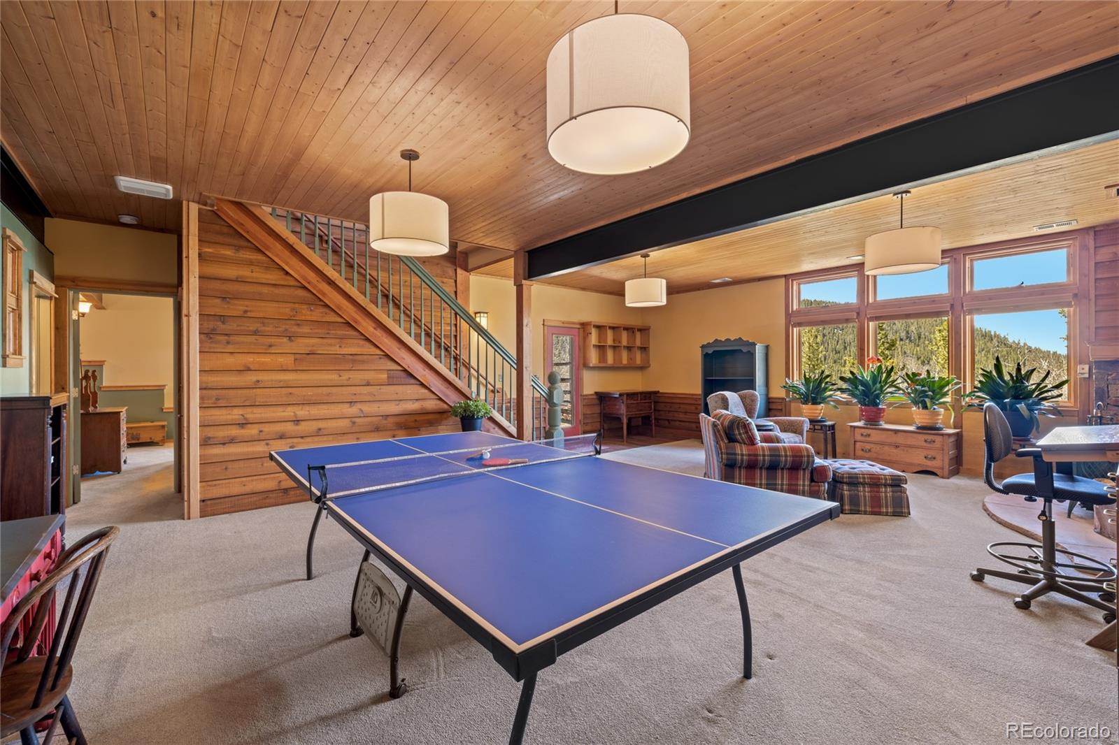 MLS Image #29 for 1450  empire valley drive,leadville, Colorado