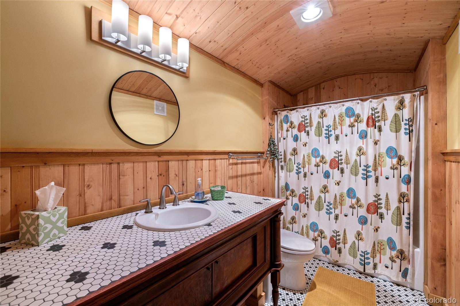 MLS Image #34 for 1450  empire valley drive,leadville, Colorado