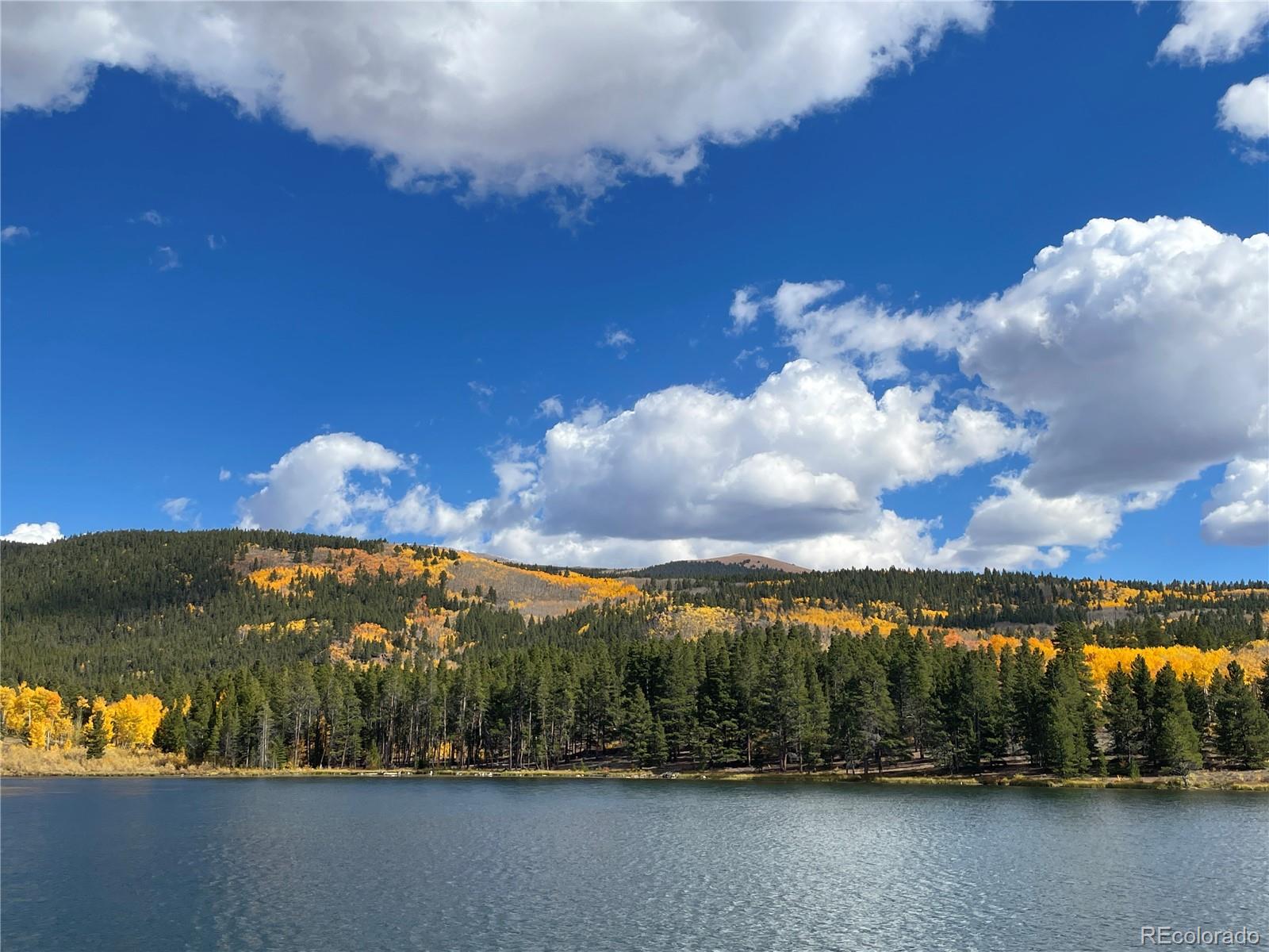 MLS Image #46 for 1450  empire valley drive,leadville, Colorado