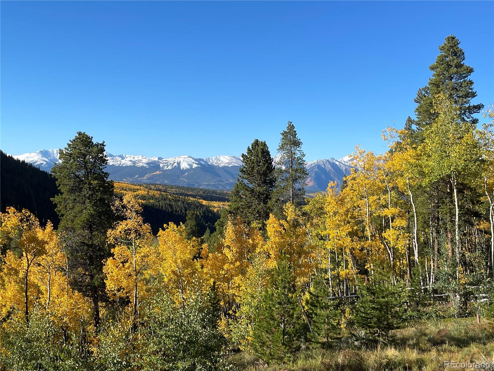 MLS Image #47 for 1450  empire valley drive,leadville, Colorado