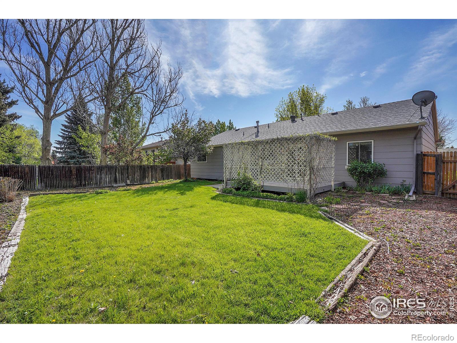 MLS Image #21 for 1201  stein street,lafayette, Colorado
