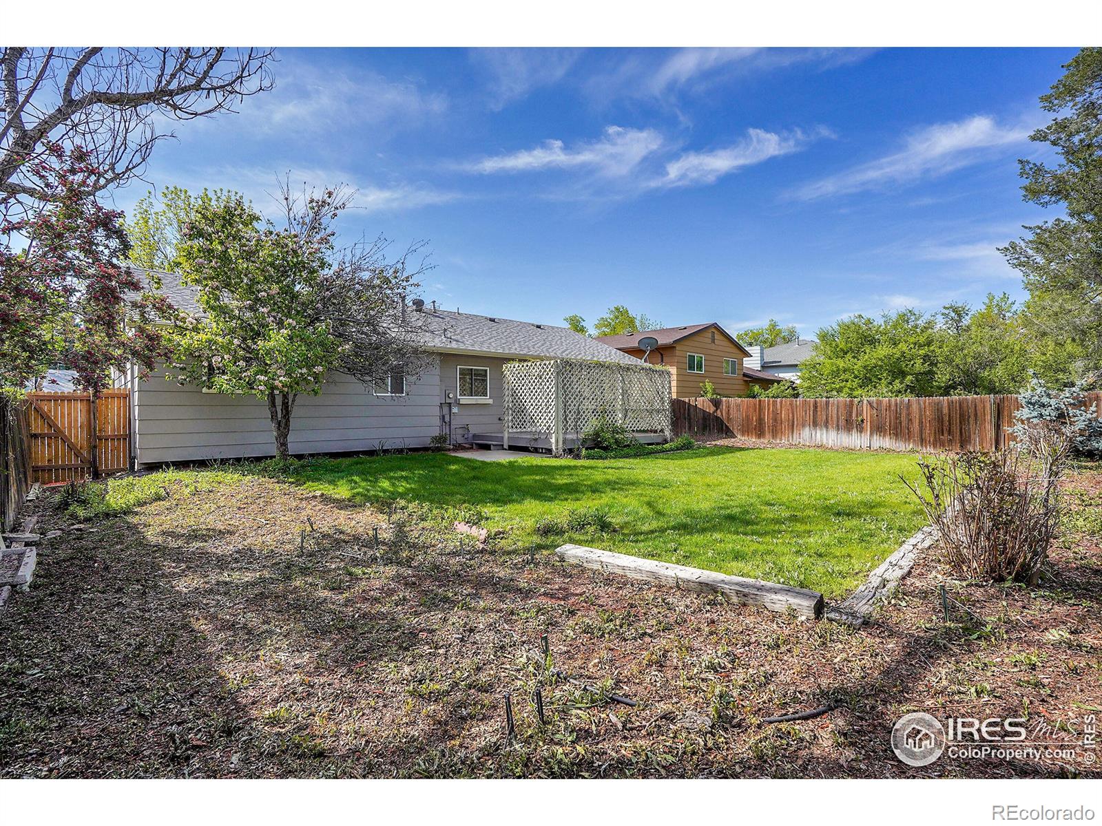 MLS Image #26 for 1201  stein street,lafayette, Colorado