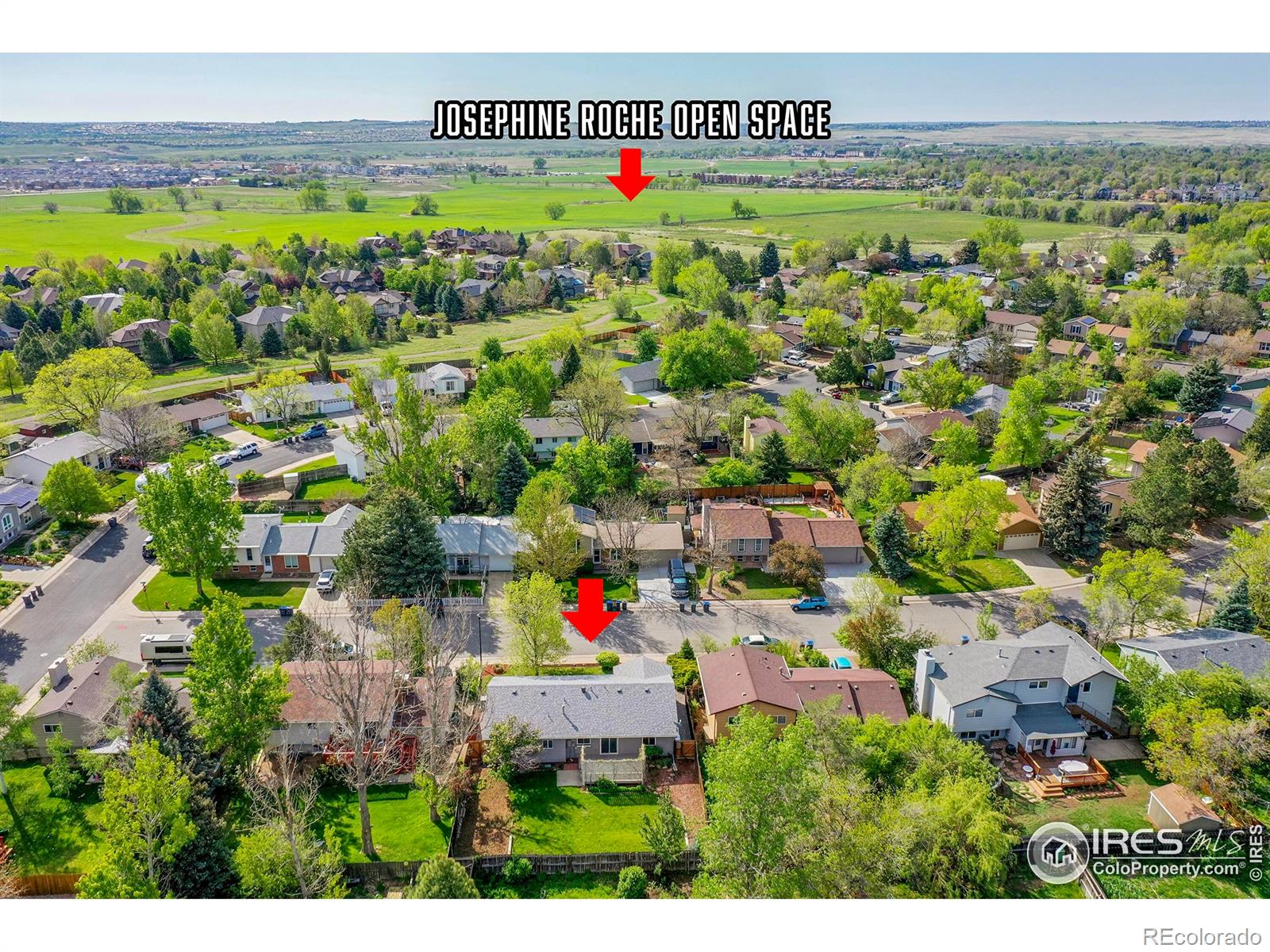 MLS Image #28 for 1201  stein street,lafayette, Colorado