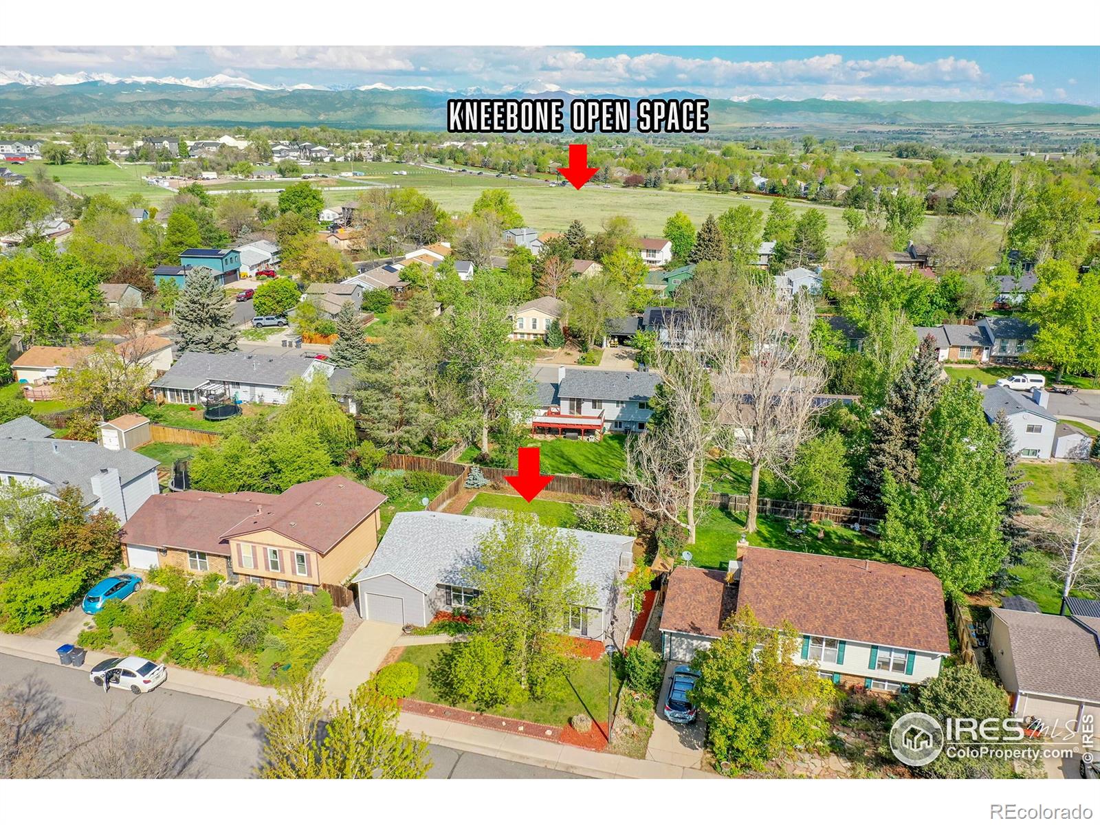 MLS Image #30 for 1201  stein street,lafayette, Colorado