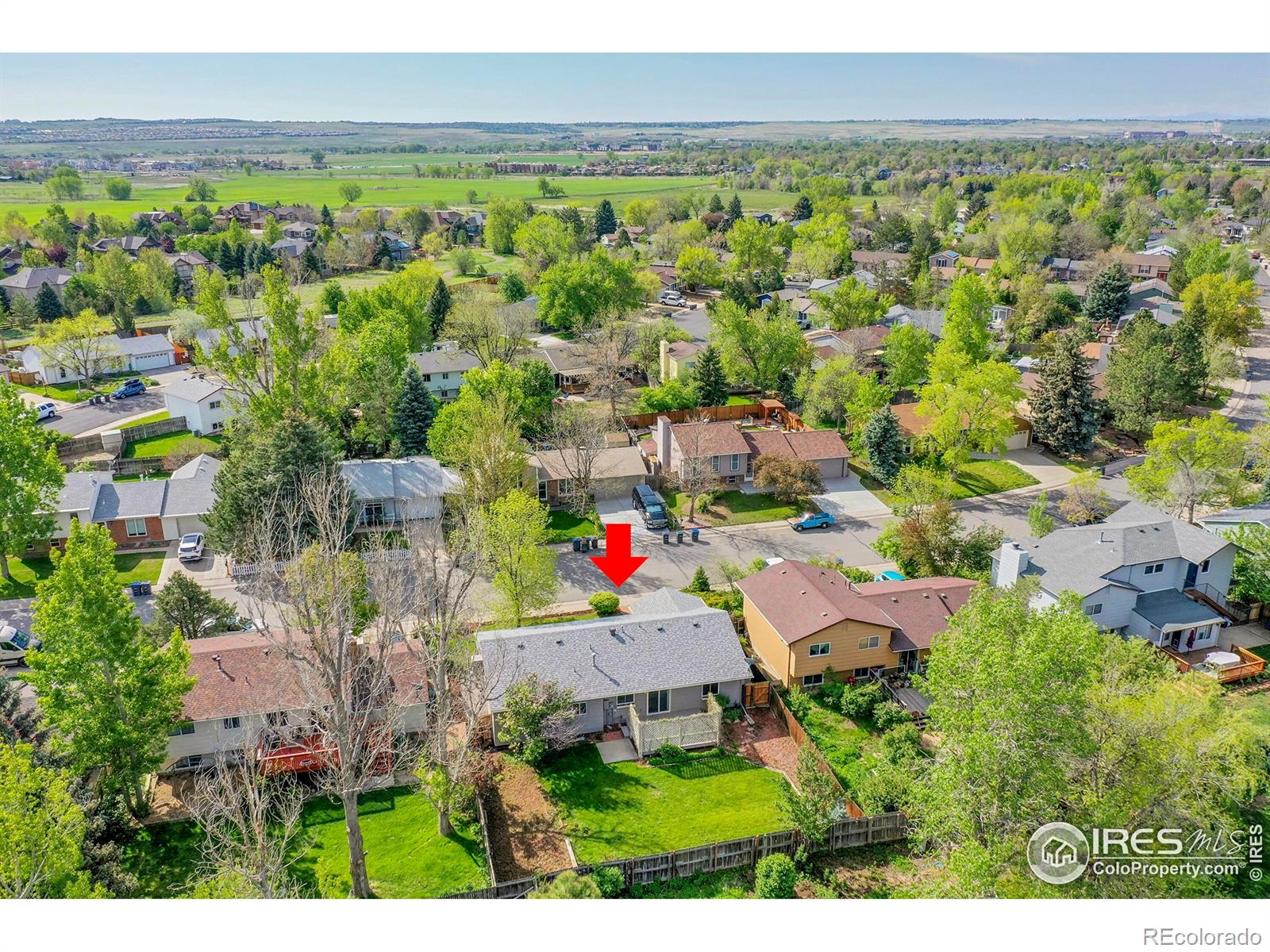 MLS Image #31 for 1201  stein street,lafayette, Colorado