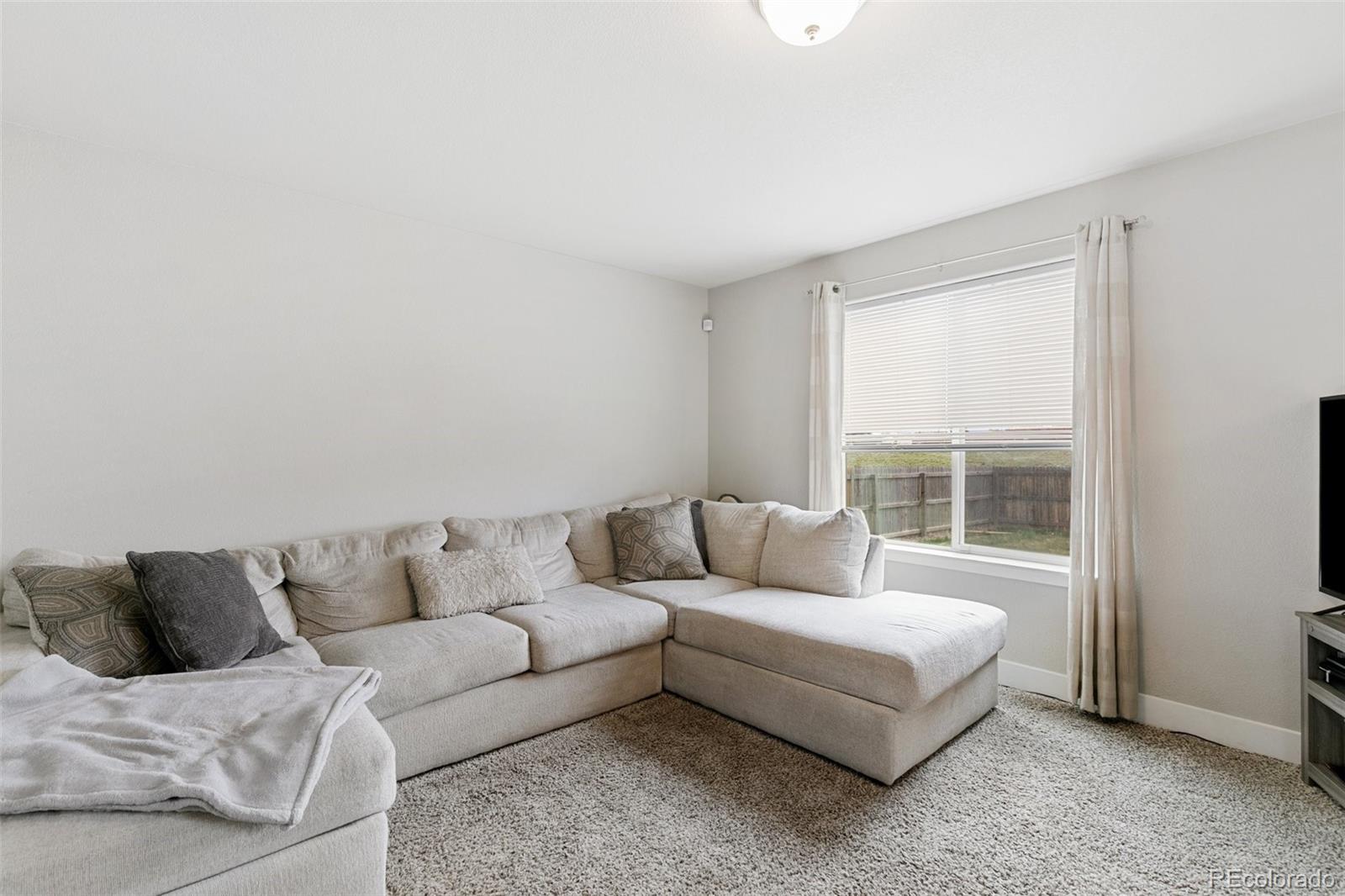 MLS Image #14 for 2984  loot drive,colorado springs, Colorado