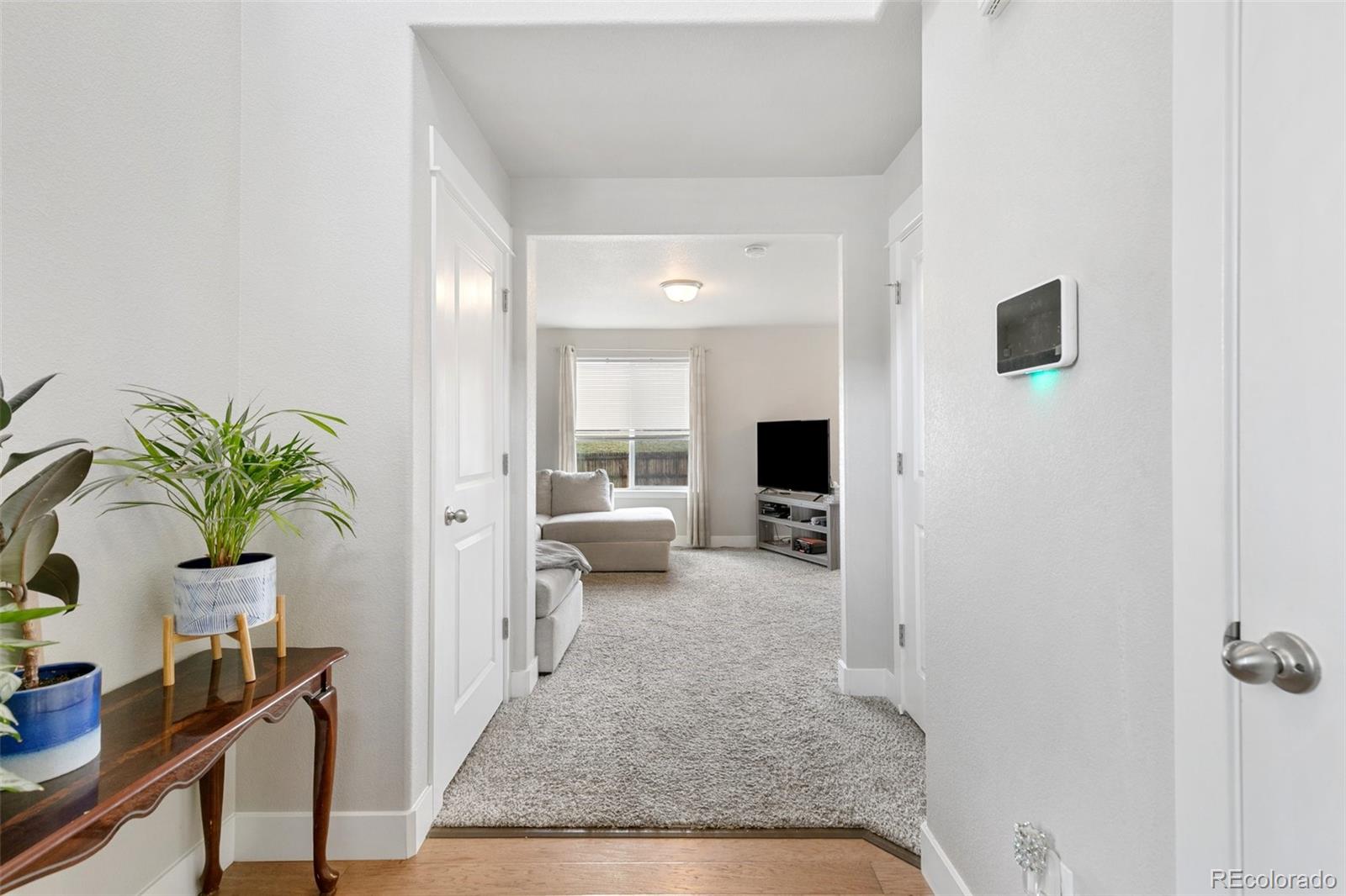 MLS Image #2 for 2984  loot drive,colorado springs, Colorado