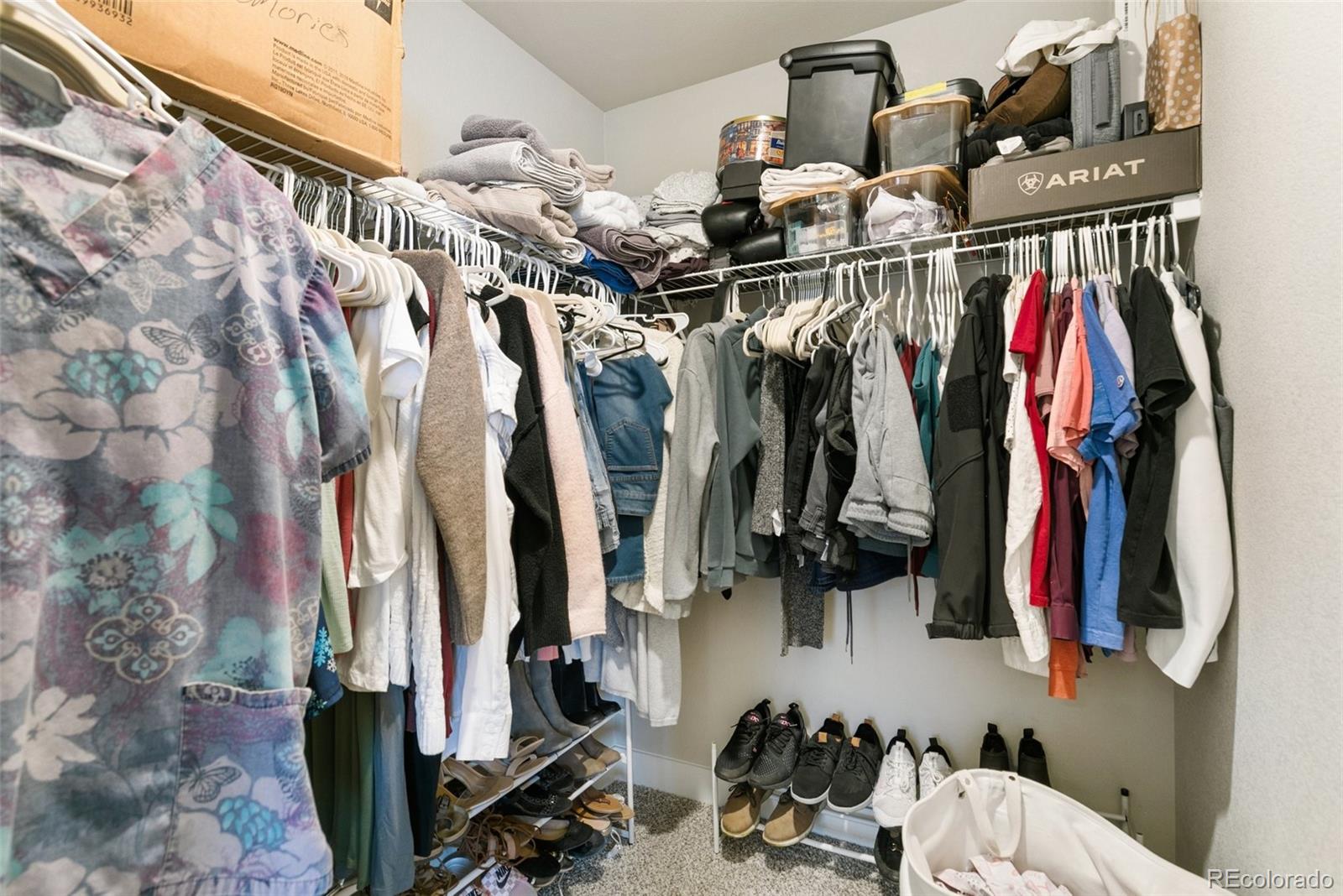 MLS Image #21 for 2984  loot drive,colorado springs, Colorado