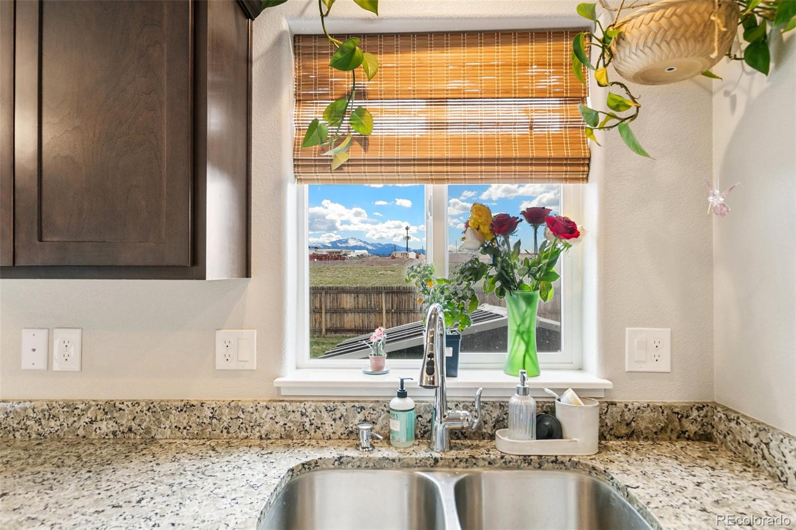 MLS Image #8 for 2984  loot drive,colorado springs, Colorado