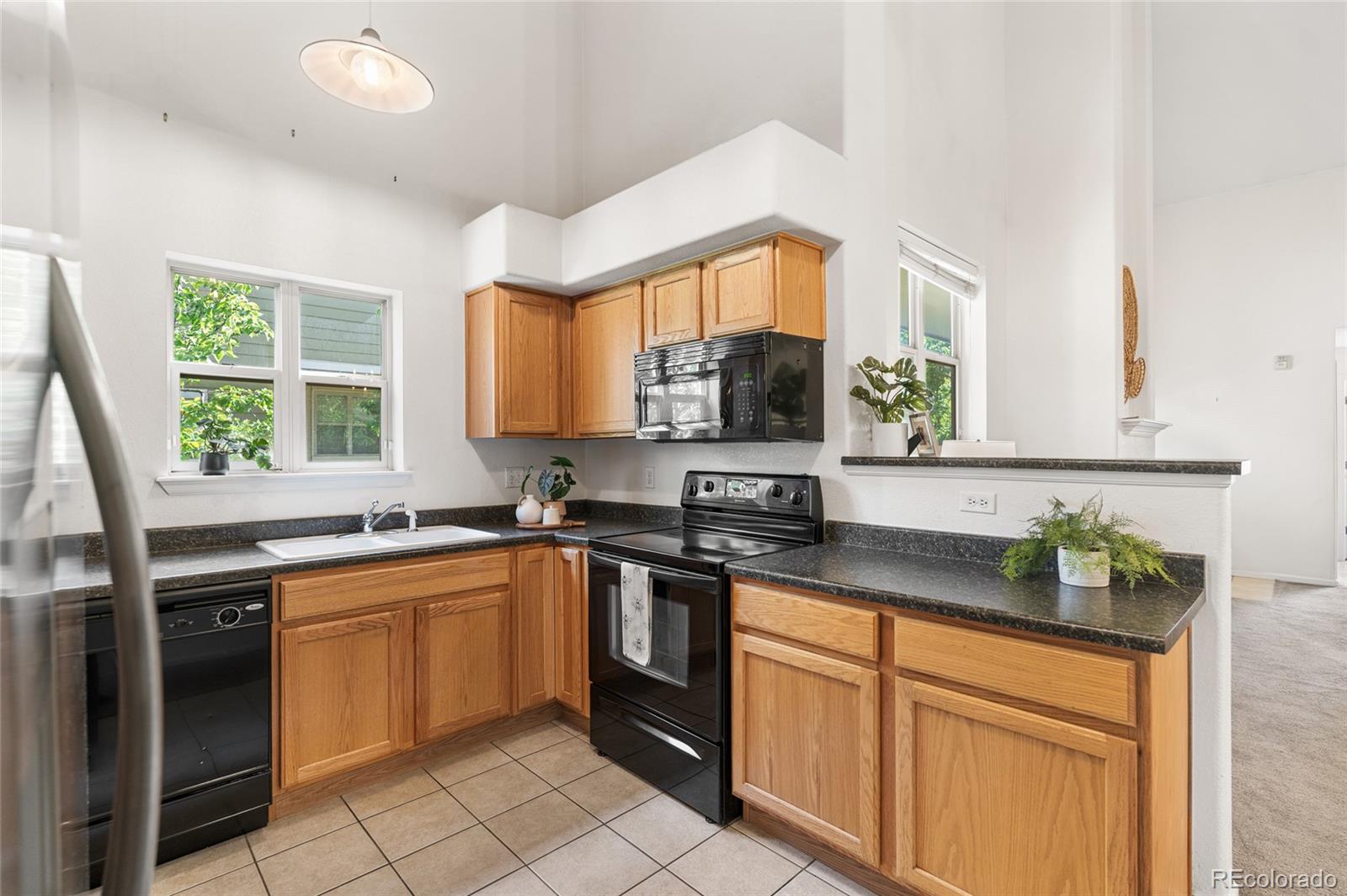 MLS Image #22 for 5444  zephyr street,arvada, Colorado