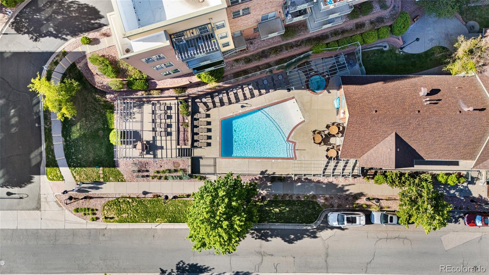 MLS Image #6 for 5444  zephyr street,arvada, Colorado