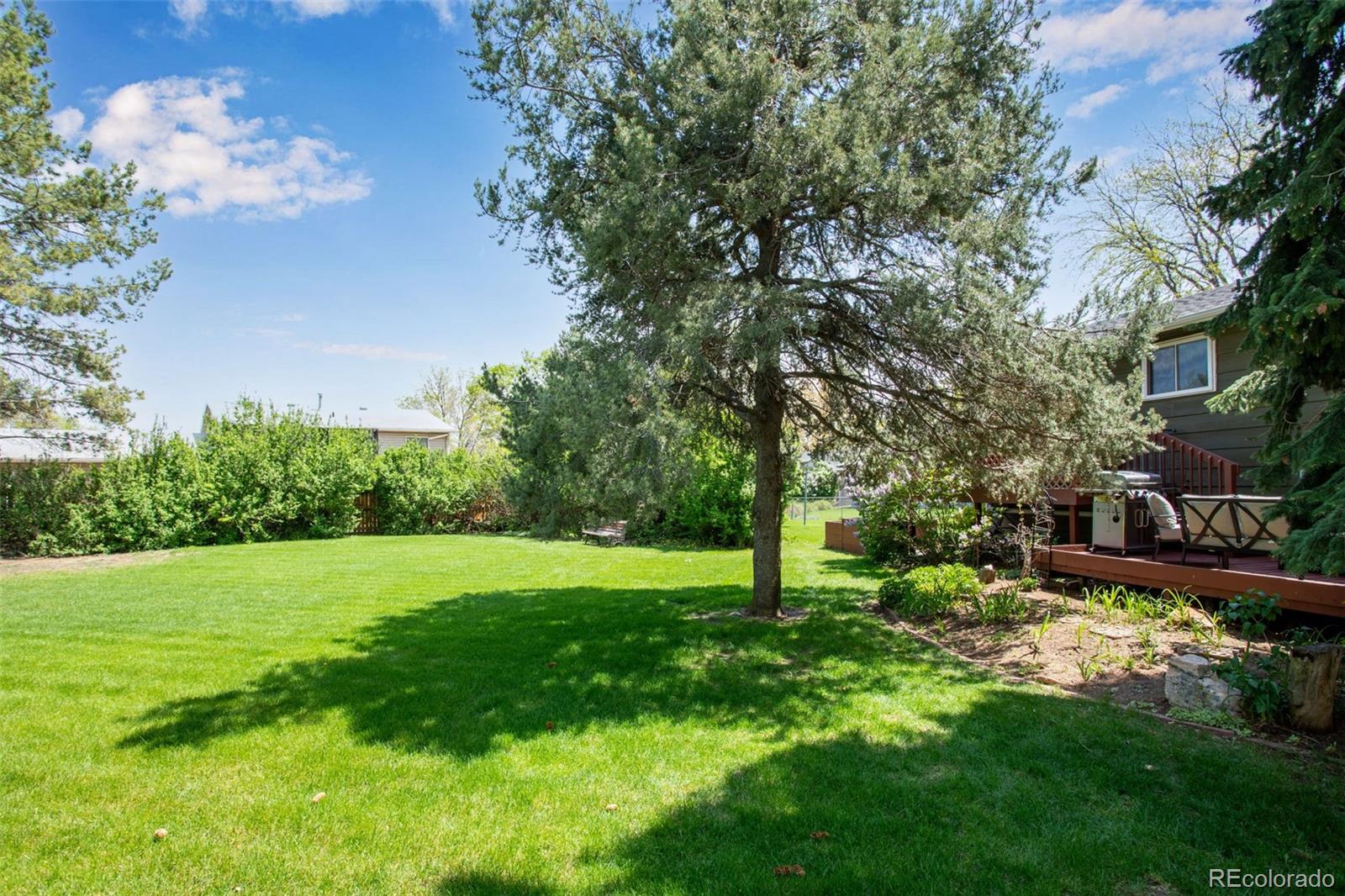 MLS Image #2 for 1726  ellen court,loveland, Colorado