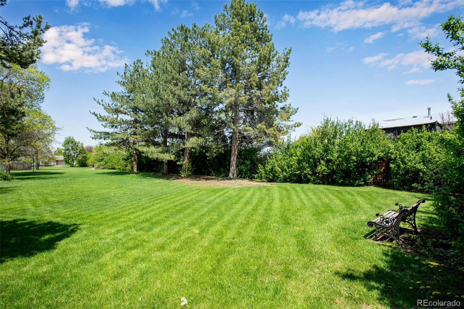 MLS Image #39 for 1726  ellen court,loveland, Colorado