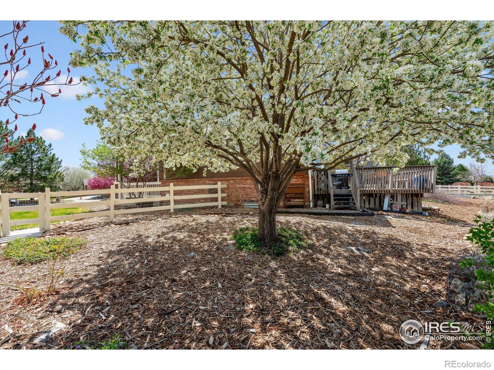 MLS Image #22 for 13668  plaster circle,broomfield, Colorado