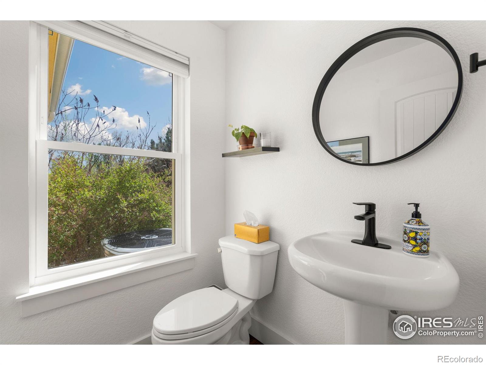 MLS Image #17 for 521  coriander lane,fort collins, Colorado