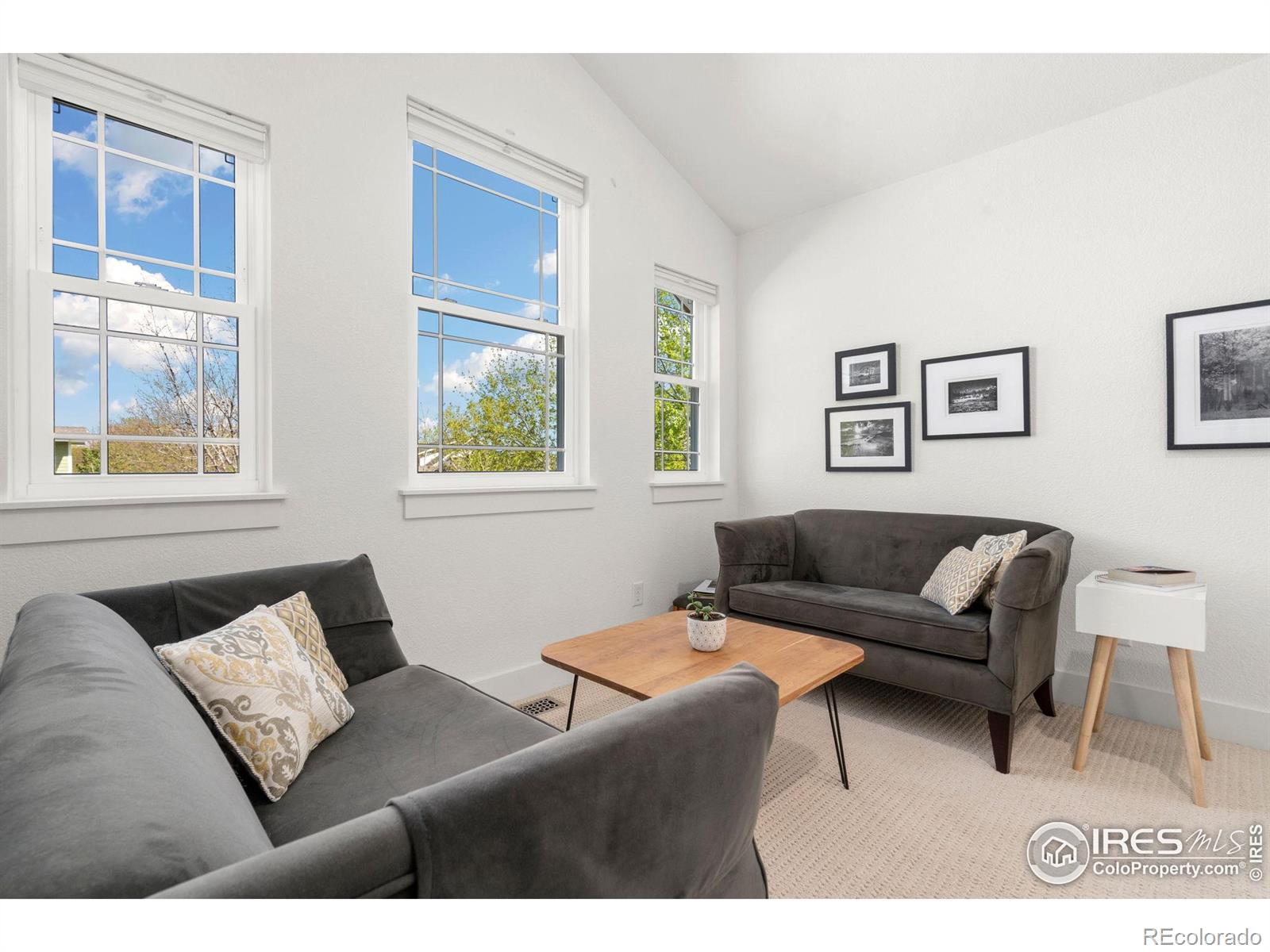 MLS Image #21 for 521  coriander lane,fort collins, Colorado