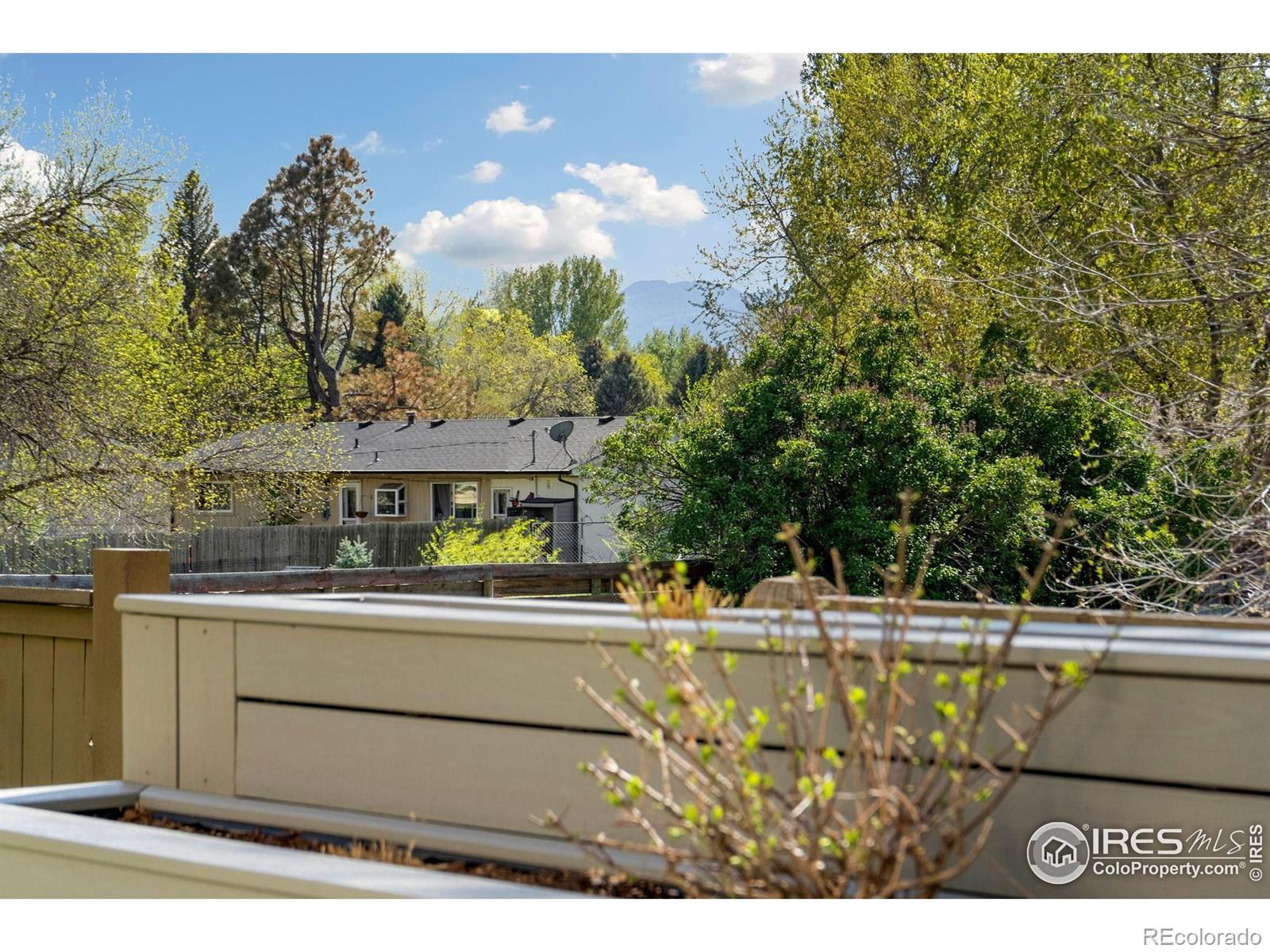 MLS Image #33 for 521  coriander lane,fort collins, Colorado