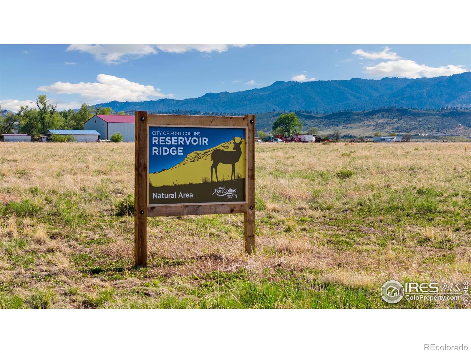 MLS Image #38 for 521  coriander lane,fort collins, Colorado
