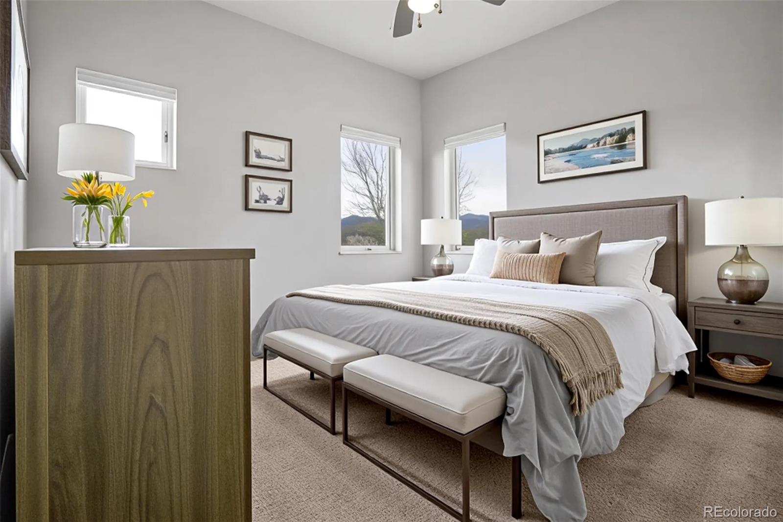 MLS Image #22 for 32  trailside circle,salida, Colorado