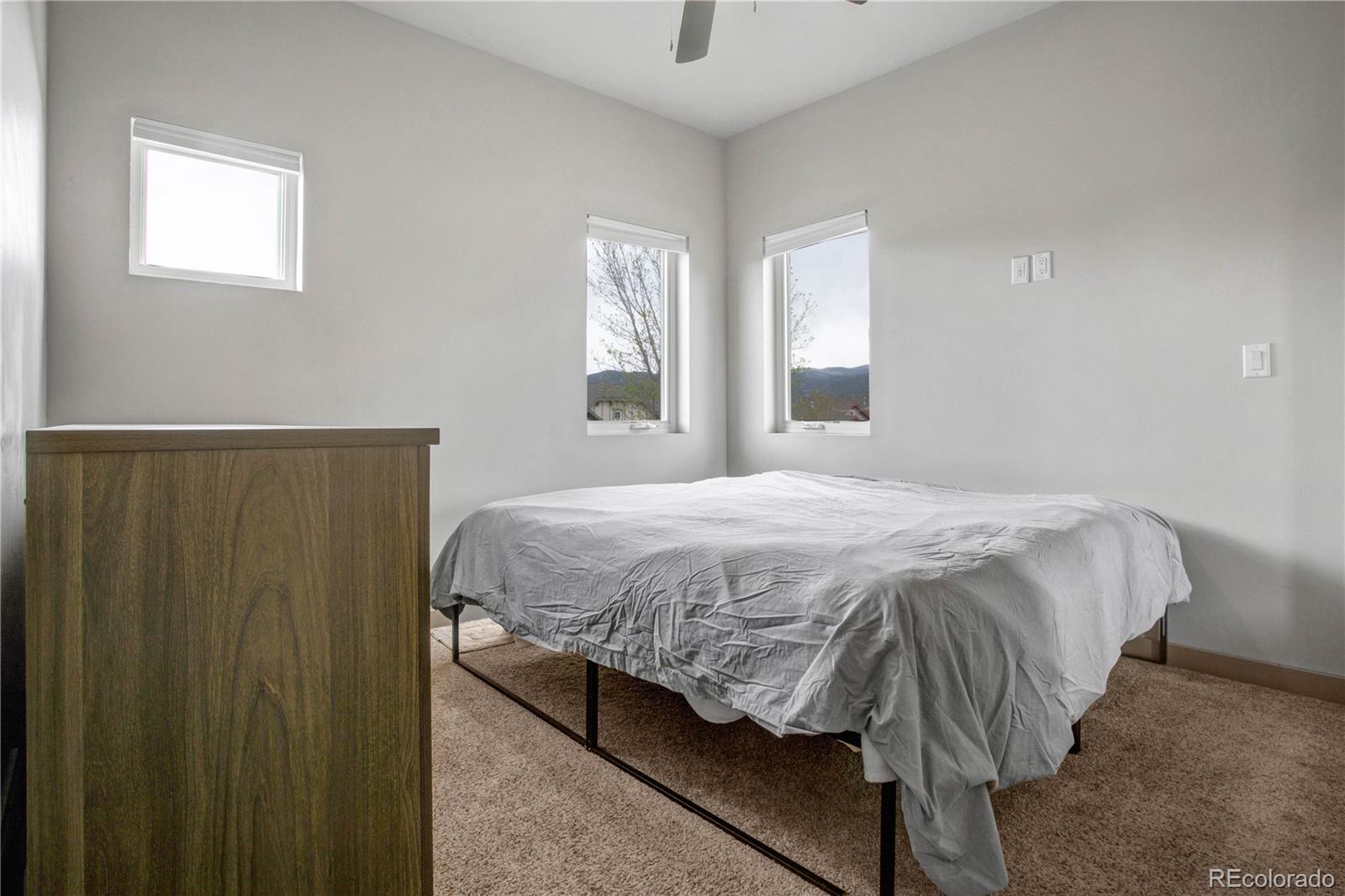 MLS Image #23 for 32  trailside circle,salida, Colorado