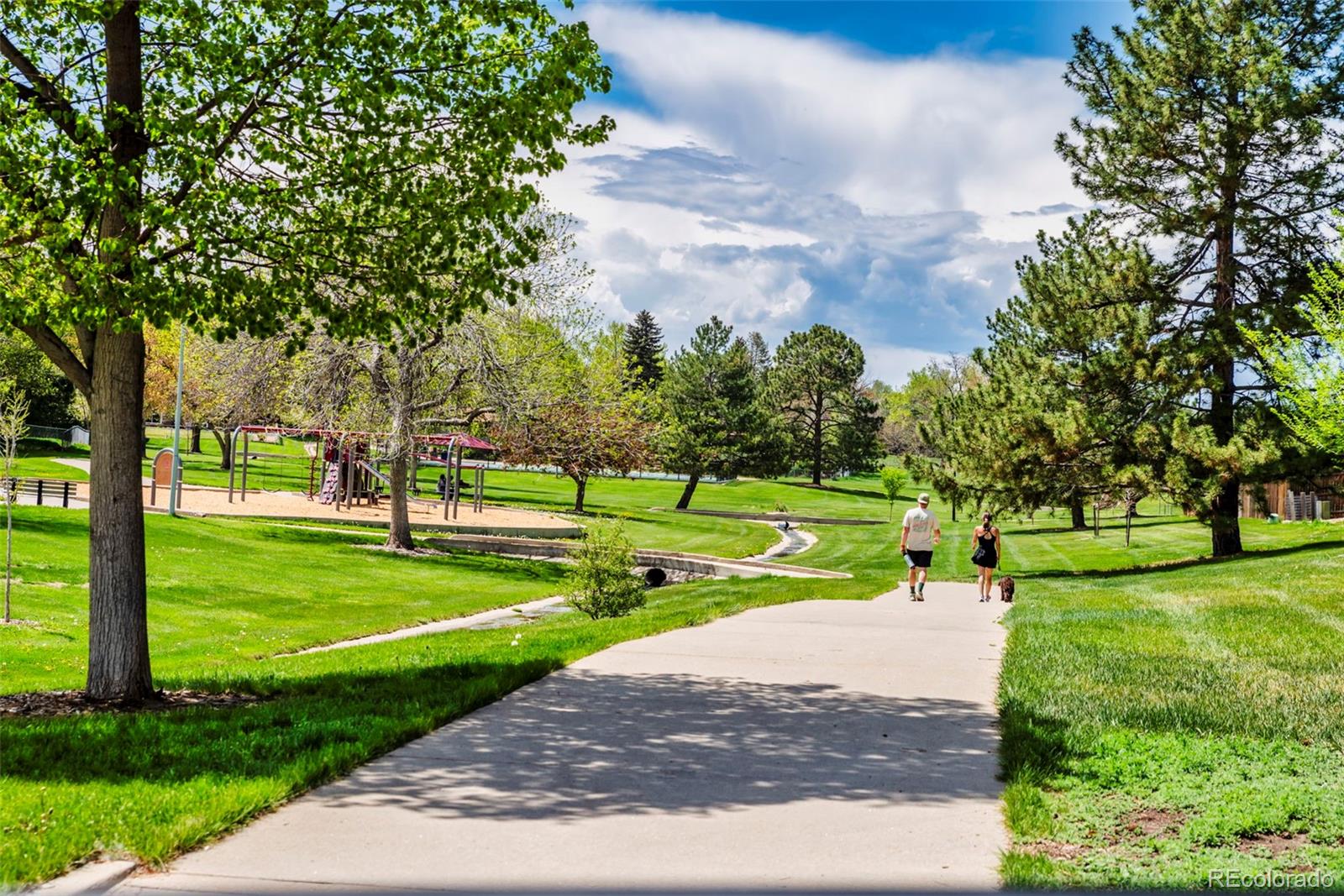 MLS Image #36 for 1606  iris street,broomfield, Colorado