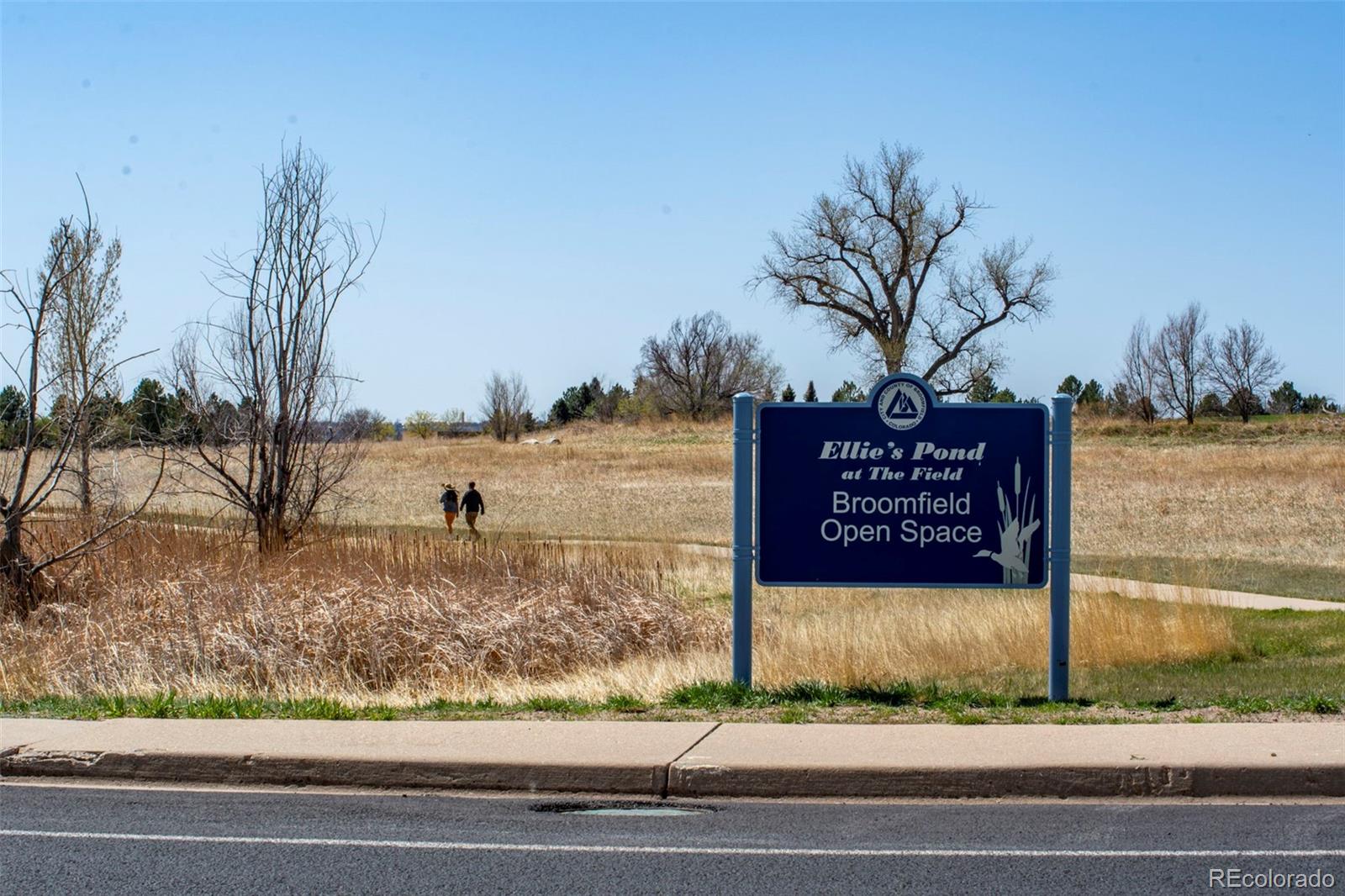 MLS Image #41 for 1606  iris street,broomfield, Colorado