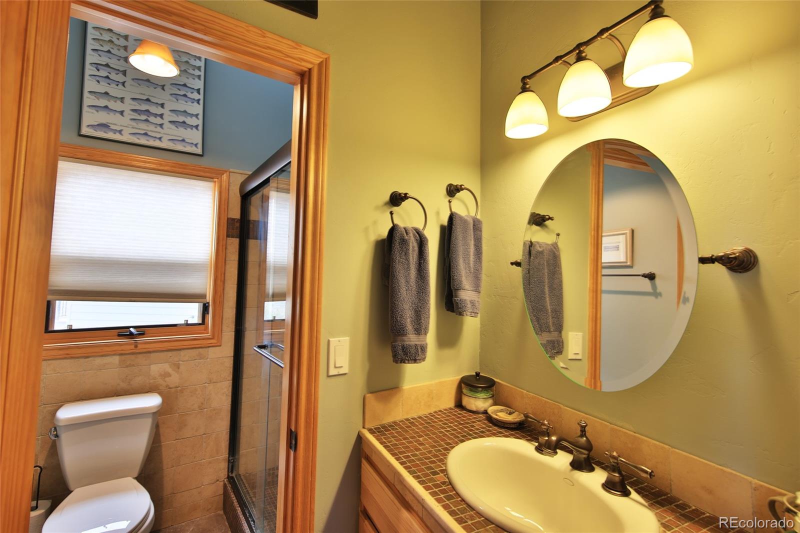 MLS Image #24 for 53315  bull basin road,mesa, Colorado