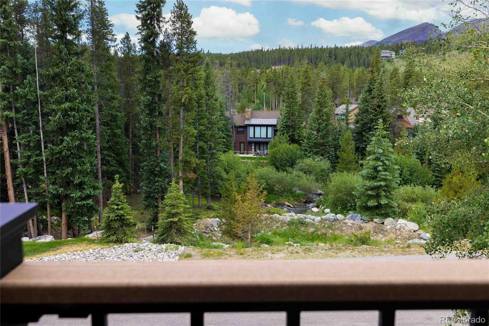 MLS Image #24 for 100  river park drive,breckenridge, Colorado